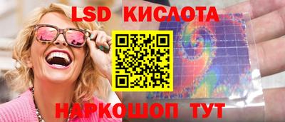 индика Кандалакша