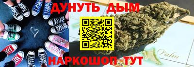 индика Кандалакша