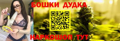 индика Кандалакша