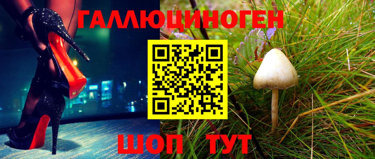 Галлюциногенные грибы ЛСД  Вход с VPN  Можайск  Галлюциногенные грибы Psilocybe 