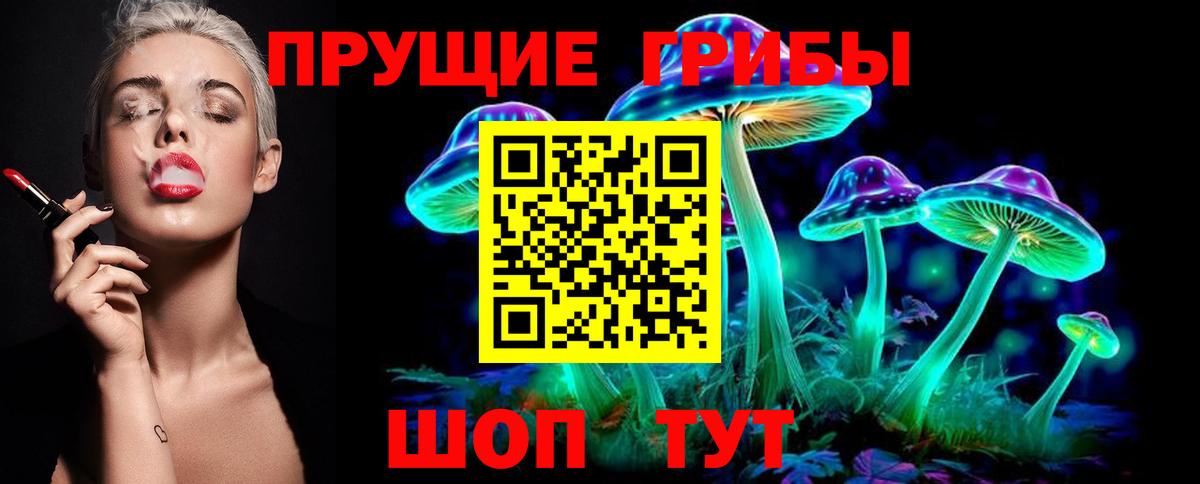 Псилоцибиновые грибы Cubensis Можайск